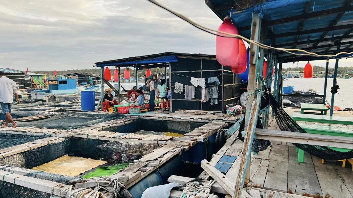 Không gian bè cá Anh Sinh tại Phú Quý